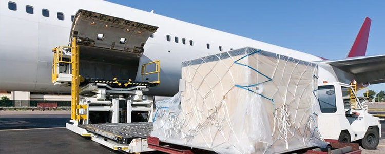 Conheça nossos serviços | Flex Transportes 