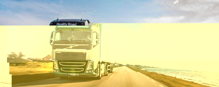 Conheça nossos serviços | Flex Transportes 